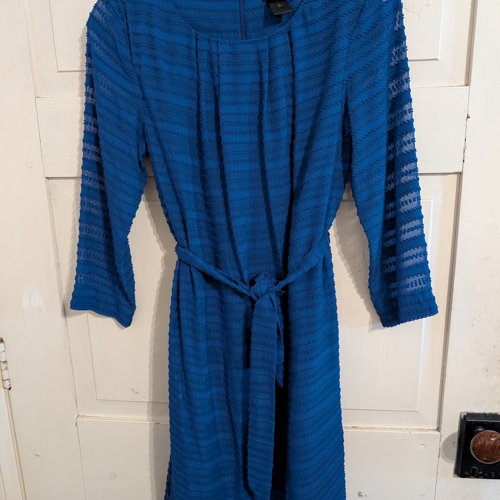 Ann Taylor Royal Blue Long Sleeve Dress